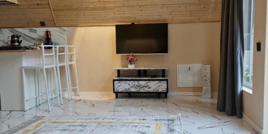 غرفة معيشة بأسقف خشبية وتلفاز