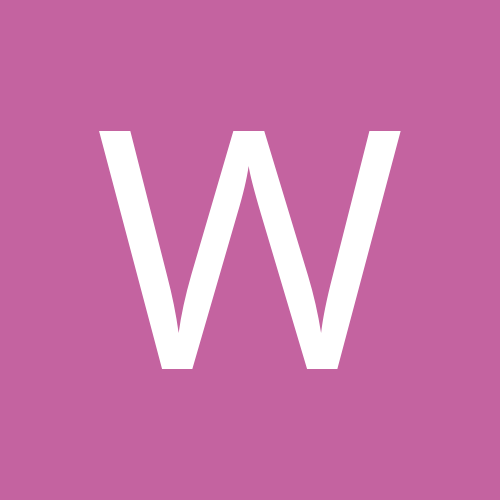 وسام الحيانى